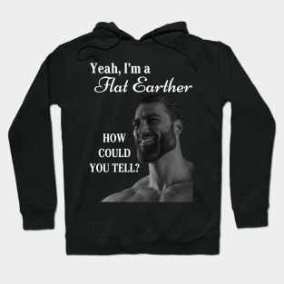 Me? A Flat Earther? Hoodie